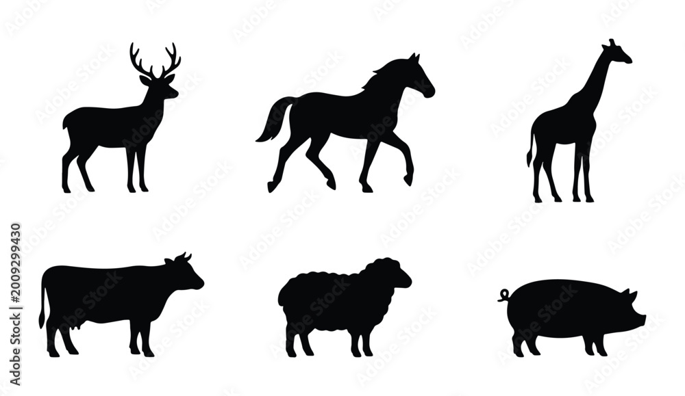 Fototapeta premium 6 animal vector icons on white background