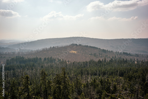 Weitblick über Wälder und Berge im Harz