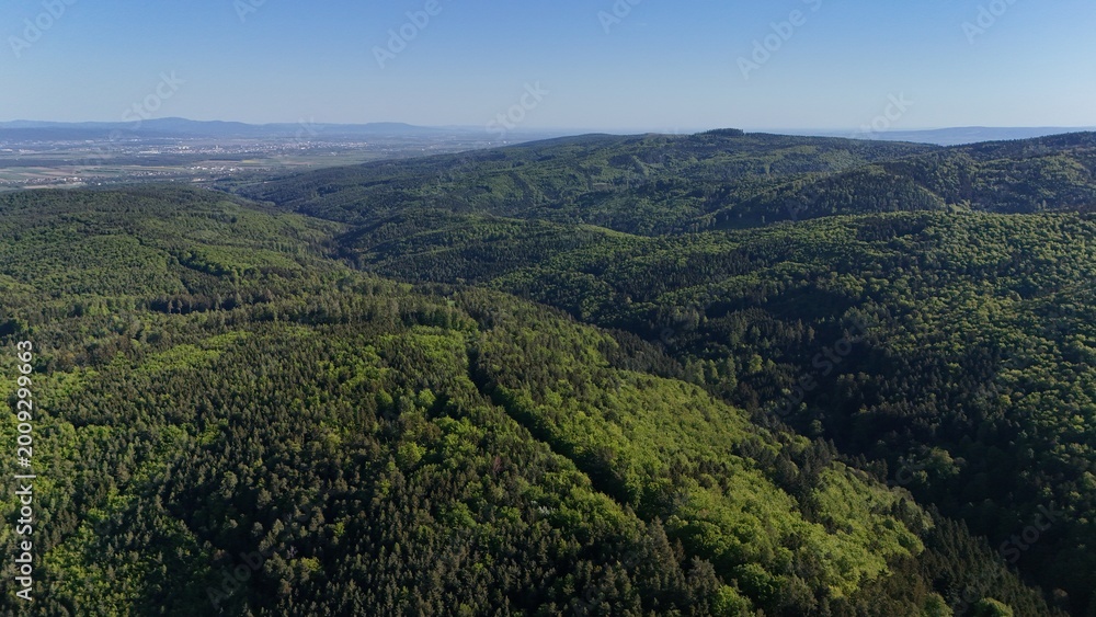 Obraz premium Wälder zwischen Buckliger Welt und Alpenkrone