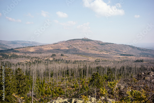 Sonnige Berglandschaft am Achtermann