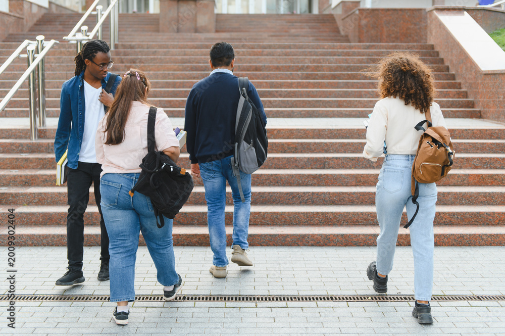 Fototapeta premium Diverse college students walking up university campus stairs
