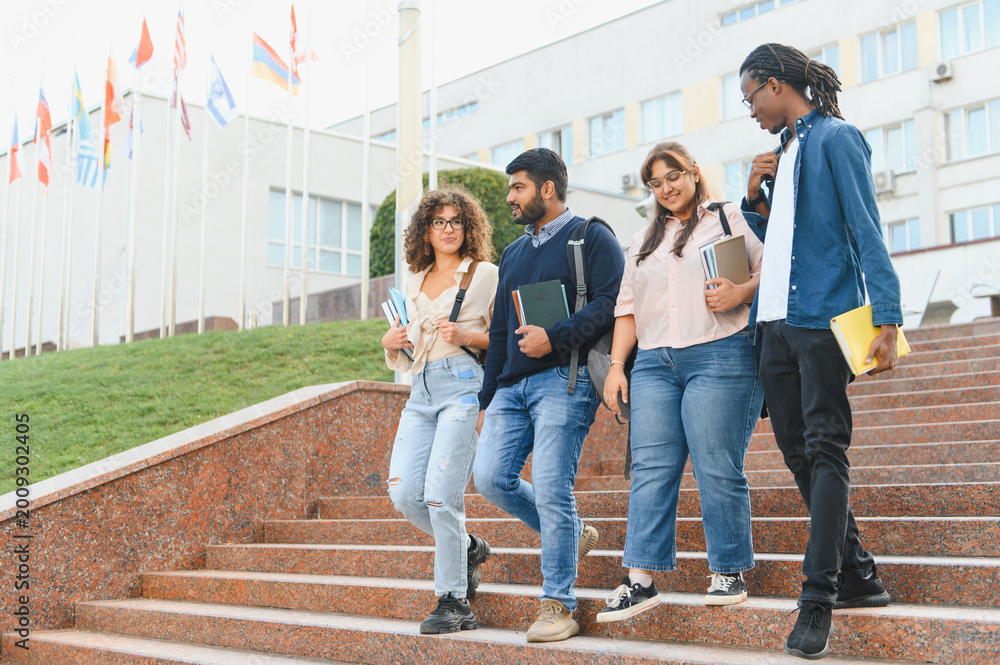 Obraz premium Diverse students walking down university stairs together