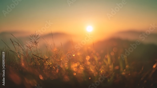 Beautiful wild grass field at sunset with soft mountain background