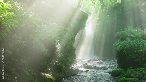 長野県軽井沢町の竜返しの滝、夏の朝に森の渓流へ光芒が差し込む幻想的な滝風景