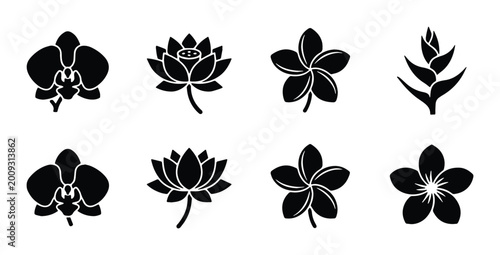 Bilde på lerret vector set of black orchid lotus plumeria and frangipani silhouettes on a transp