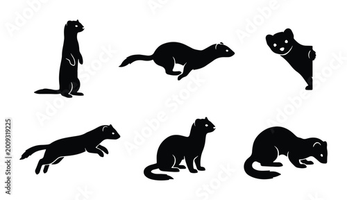 Tableau sur toile Ferret silhouette vector icons set, black weasel animal shapes in various poses,