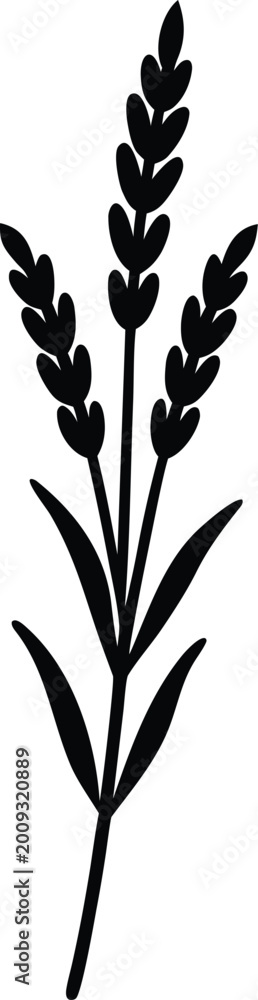 Fototapeta premium Black silhouette of a plant with multiple branches and leaves