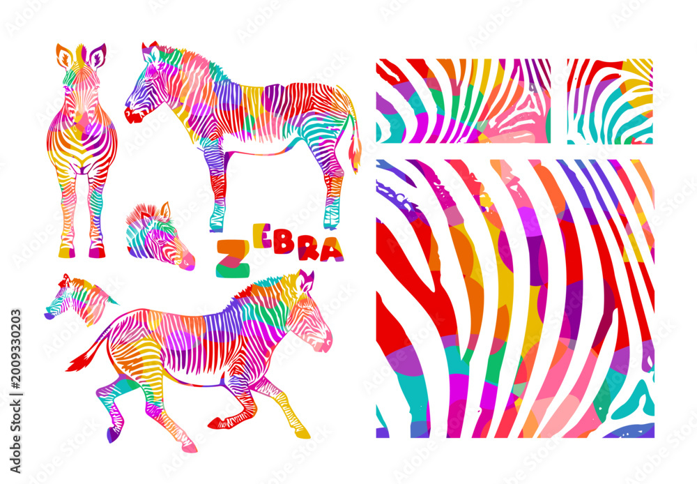 Naklejka premium colored zebra set. Hand drawn. Not AI, vector illustration.
