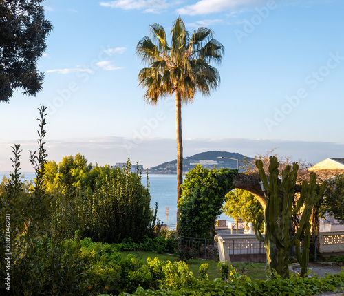Bild auf Leinwand Green gardens with palm and citrus trees on seaside shore between Gaeta and Form