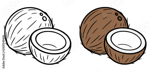 Coconut icon illustration, in line art and colored design, for coloring page