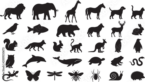 Photography Diverse collection of animal silhouettes featuring common pets wildlife and insects for educational and creative graphic design projects on white background surface