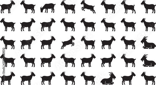 Photos Black silhouette collection of goats in various standing sitting jumping and walking postures isolated on white background for farm animal related design projects set