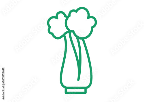 Green Vegetable Celery Cooking Ingredient