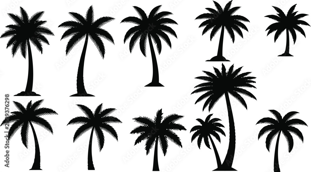 Fototapeta premium Black silhouette icons of tropical palm trees set Vector