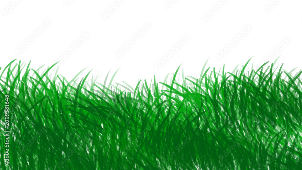 Fototapeta premium Fresh green spring grass isolated on white background depicting a lush natural growth plant for summer garden landscape or environment vector design