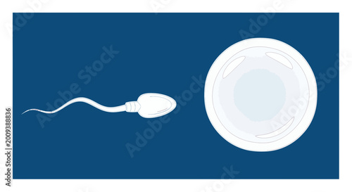 Tableau sur toile Sperm approaching egg cell for fertilization, science and reproduction concept