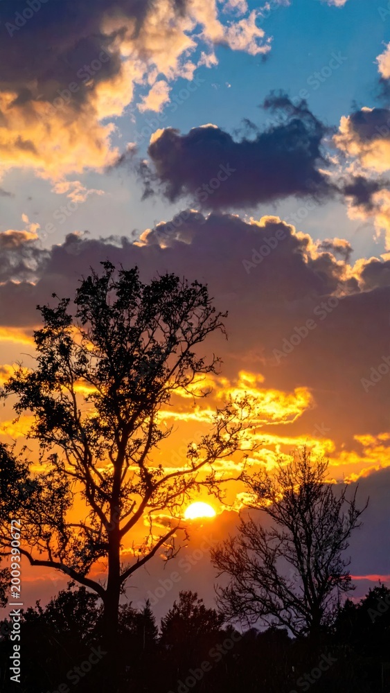 Fototapeta premium Silhouette trees against a vibrant sunset sky, with a sun peeking through the clouds