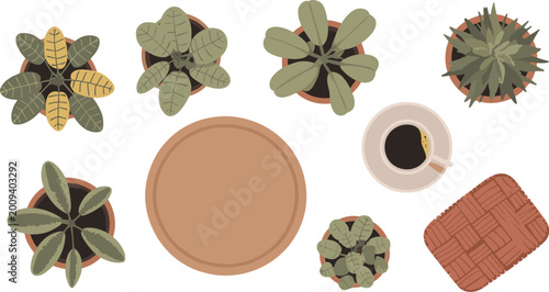 Foto Overhead view of potted plants coffee cup and round coaster on white background