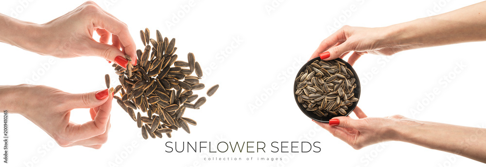 Fototapeta premium Female hand sunflower seeds on a white background isolation