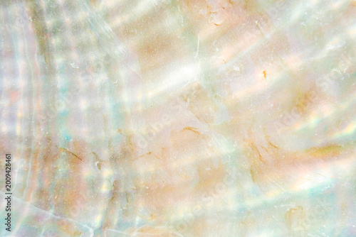 mother of pearl texture with glossy surface for premium branding, jewelry presentations, fashion campaigns, UI backgrounds, and creative digital compositions.
