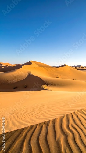 Sand dunes in desert landscape scene.