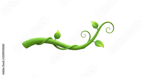Green Sprouting Vine with Curled Tendrils.