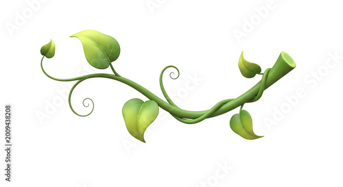 Green Vine with Leaves and Tendrils.