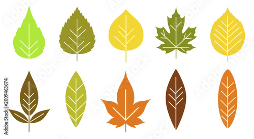 Foto Collection of stylized autumn leaves in various colors and shapes