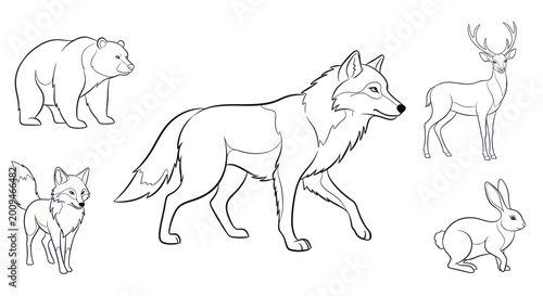 Photography Collection of Wild Animals Line Art Illustrations.