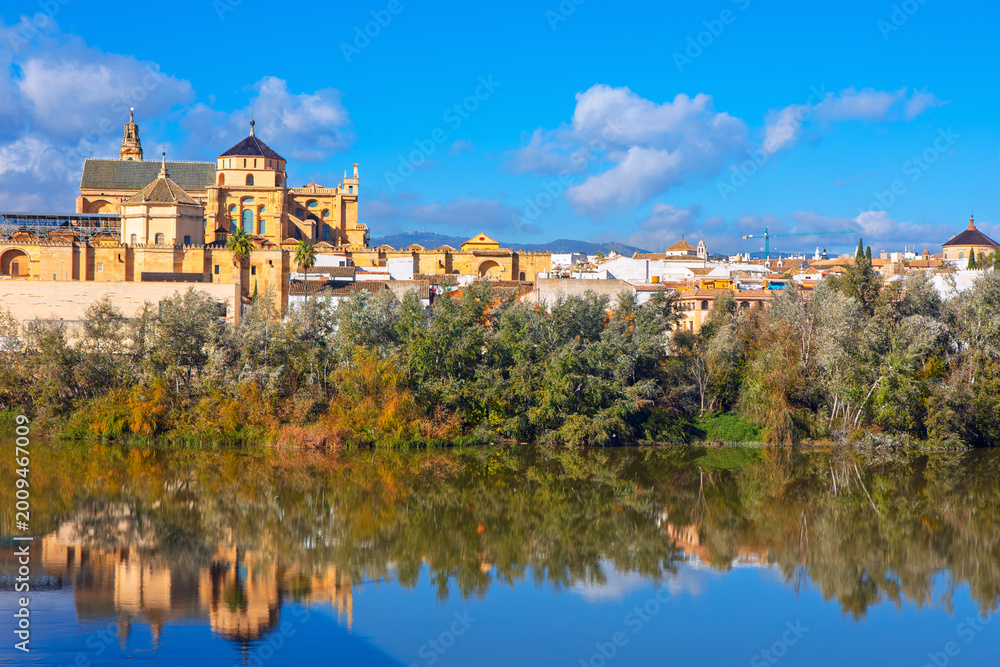 Fototapeta premium Mosque Cathedral of Cordoba rises above dense trees on the banks of the Guadalquivir River. Ancient stone walls and towers reflect clearly in still water 