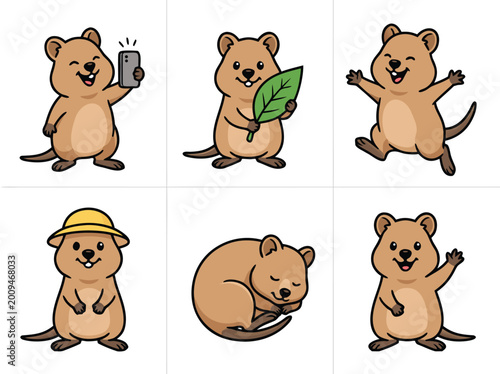 Cute Quokka Collection.