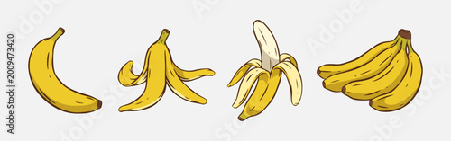 Εκτύπωση καμβά Set colored hand drawn vintage of various banana