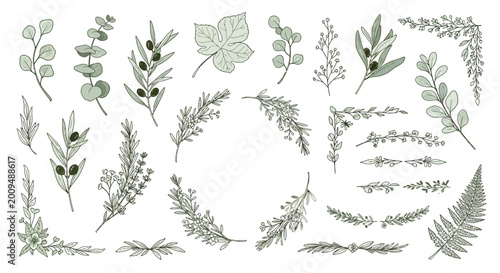 Various green leafy plant branches.