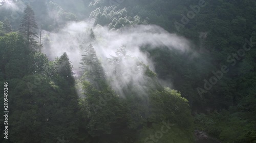 群馬県中之条町の森に広がる朝日に照らされた夏の朝霧、幻想的な山間の自然風景4K映像