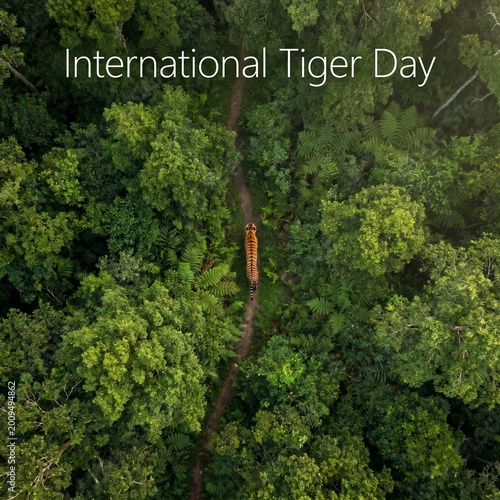 International Tiger Day Lush Dense Green Jungle Canopy Representing the Natural Habitat of Wild Tigers