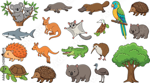 Photography Cute Australian Animal Collection Featuring Koala Kangaroo Platypus Wombat And O