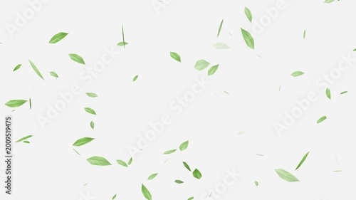 Flying Green leaves over black background. Element Overlay, Flying Green leaves over black background. Element Overlay, eaf falling.
Green Leaves flying with Alpha Channel,
