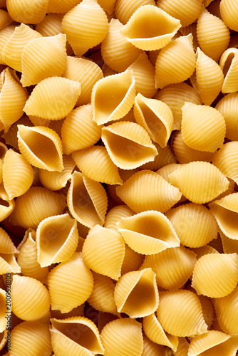 Dried Pasta Shells Vertical Shot
