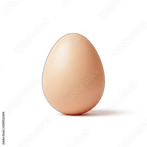 Single Brown Egg Standing Upright on a White Background.