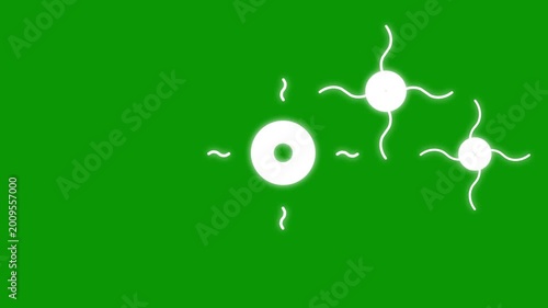 Circle fireworks burst explosion line animation with glowing radial pop up blast and ribbon sparks, motion graphics in After Effects on green screen background for video titles 4K
