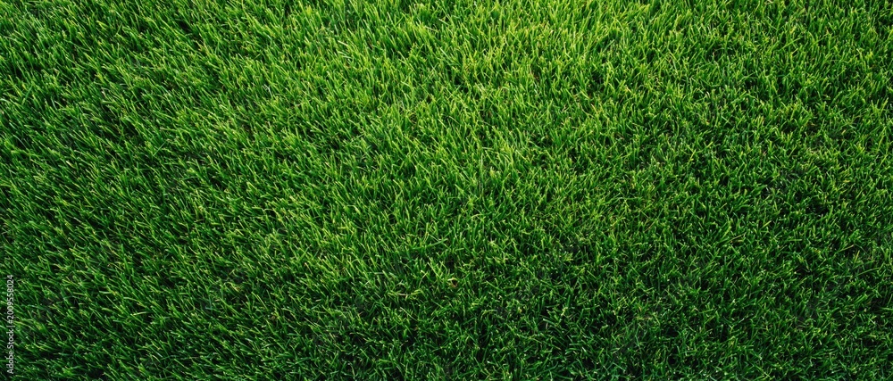 Obraz premium High resolution close up texture of fresh green grass field for natural background. High quality photo