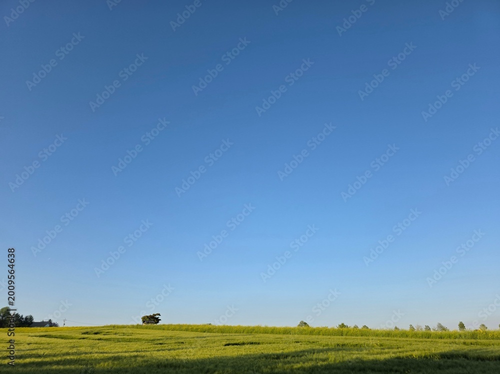 Fototapeta premium landscape with blue sky