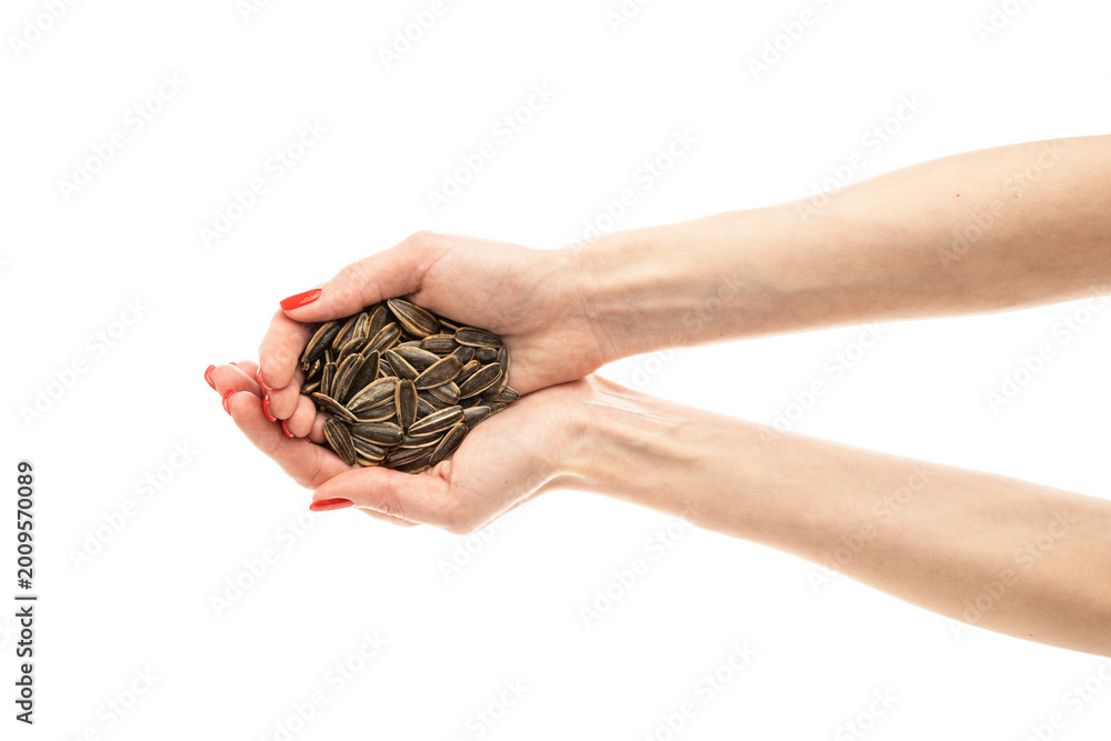 Fototapeta premium Female hand sunflower seeds on a white background isolation