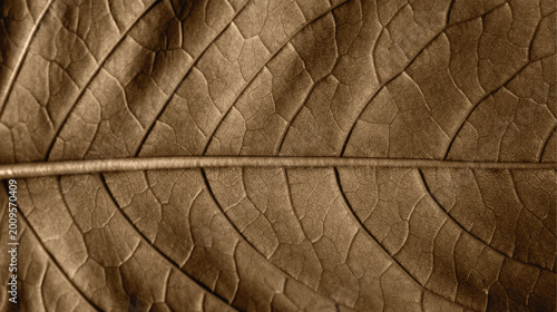 Obraz na płótnie A macro detail of rough brown leather texture and old wood surface creates a nat