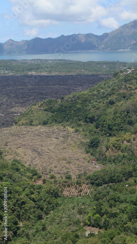 portrait photo mountain surrounded by forest at asian islands