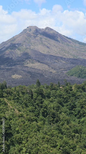 portrait photo mountain surrounded by forest at asian islands