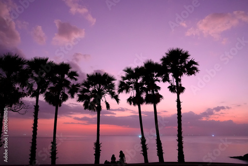Schilderij op canvas Friends gather beneath swaying palm trees, basking in the warm glow of sunset