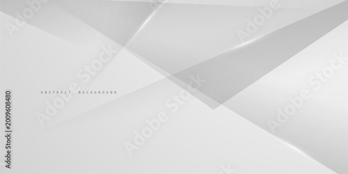 Obraz na płótnie gray and white abstract background modern vector illustration