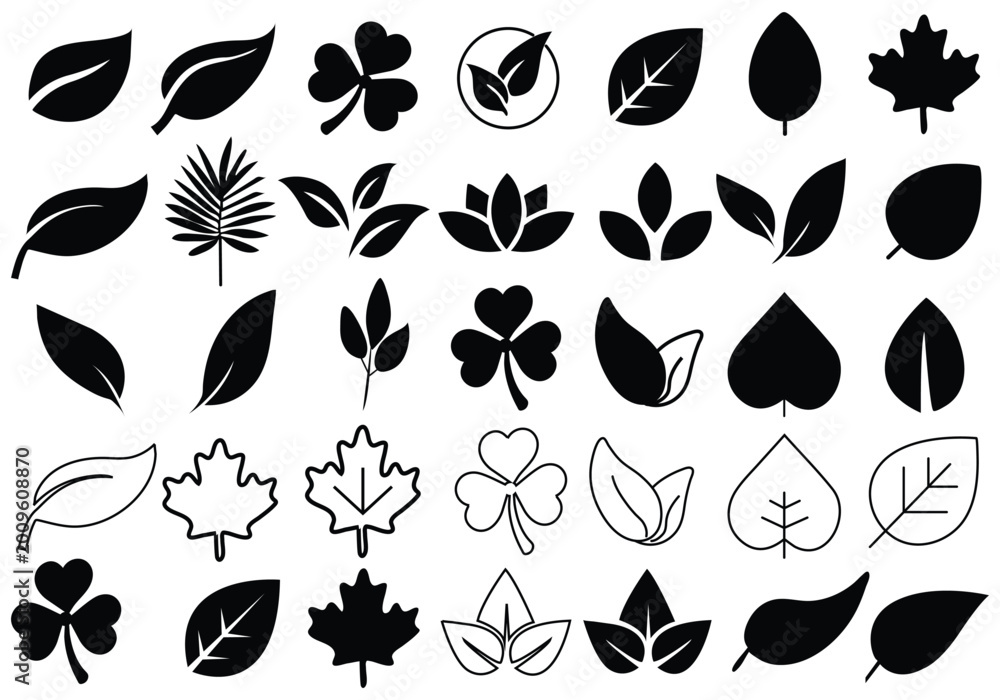 Fototapeta premium Leaf silhouettes, vector collection, diverse leaves shapes, nature elements. Ideal for eco friendly brand aesthetics, botanical illustrations, educational materials, artistic designs, decorations.