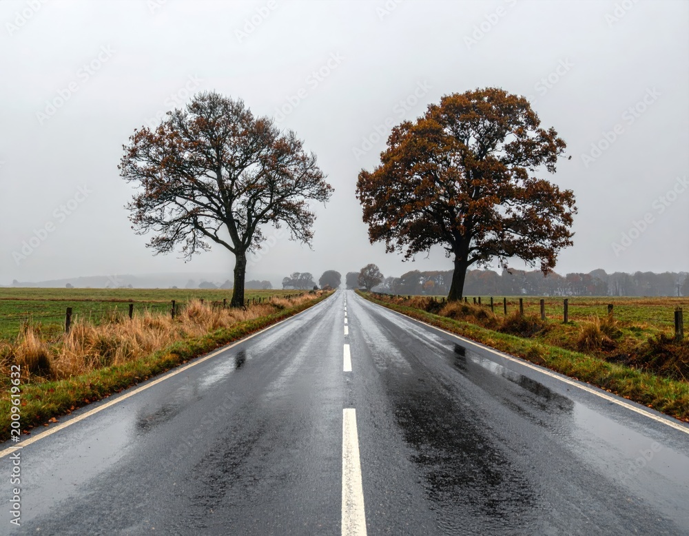 Fototapeta premium Wet road stretches to horizon between autumn trees under overcast sky